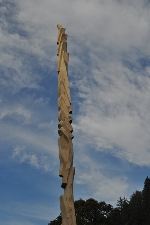 645.jpg