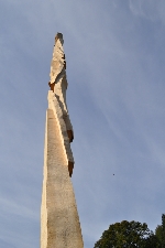 658.jpg