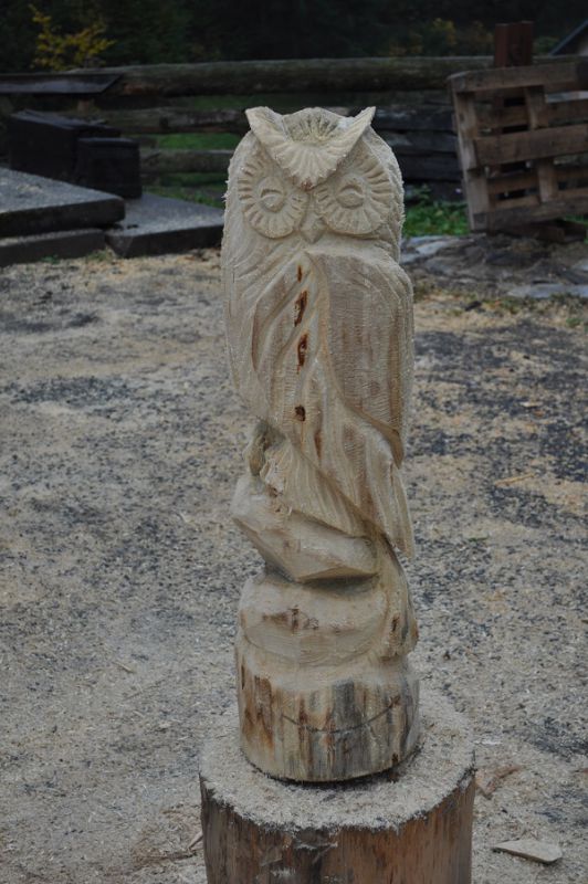 Speedcarving - rychlořezba