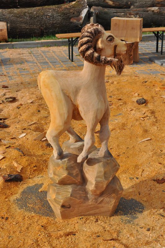 Muflon