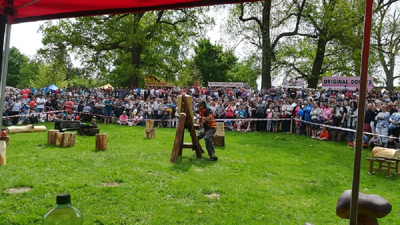 Řezbářská show 