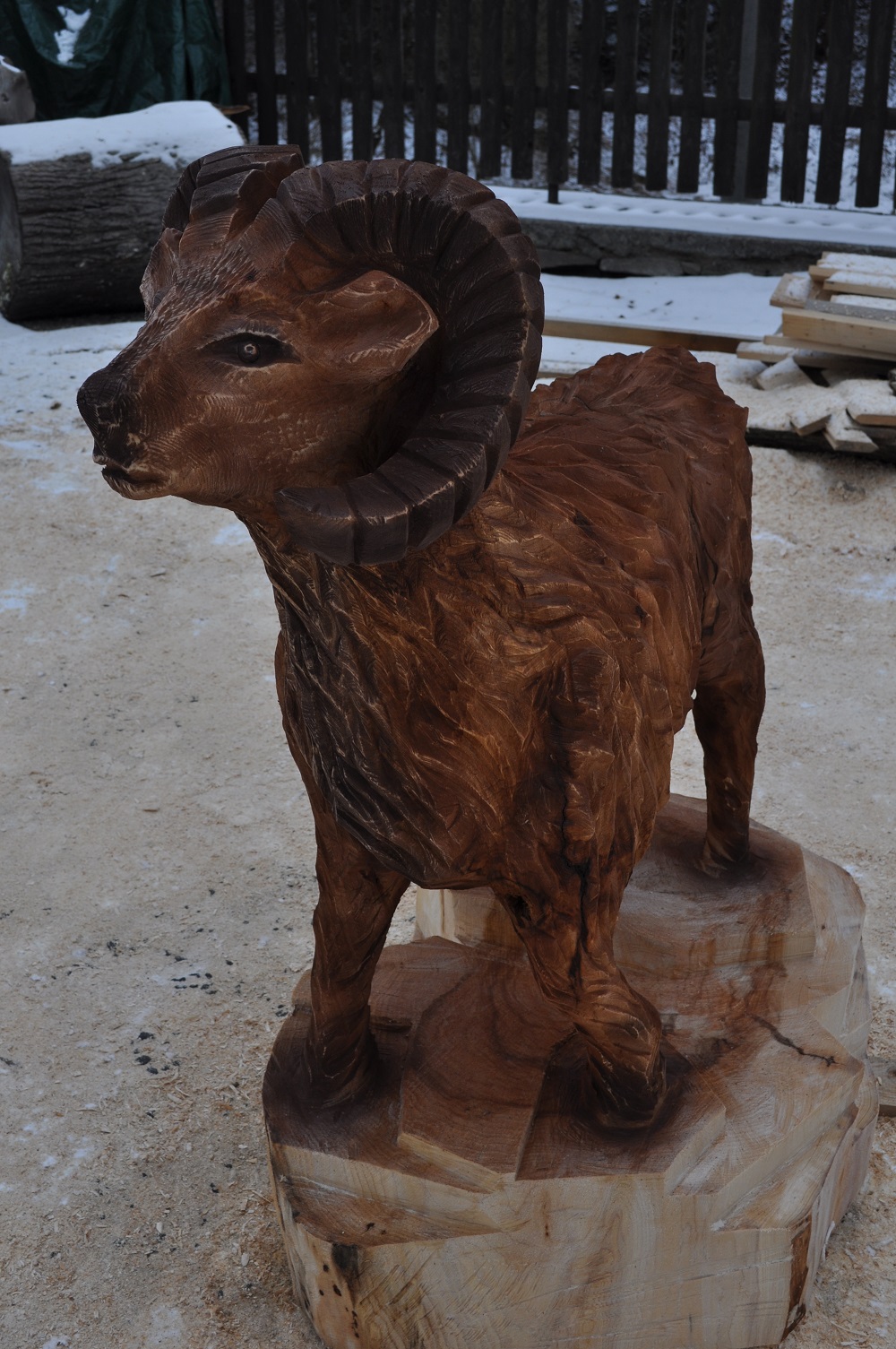 Muflon