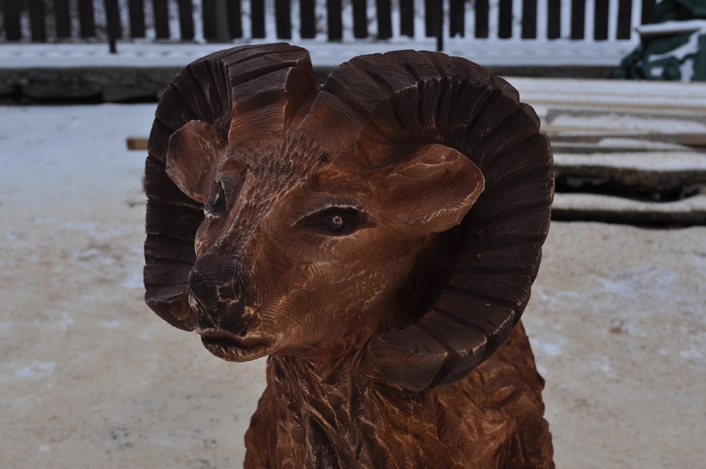 Muflon