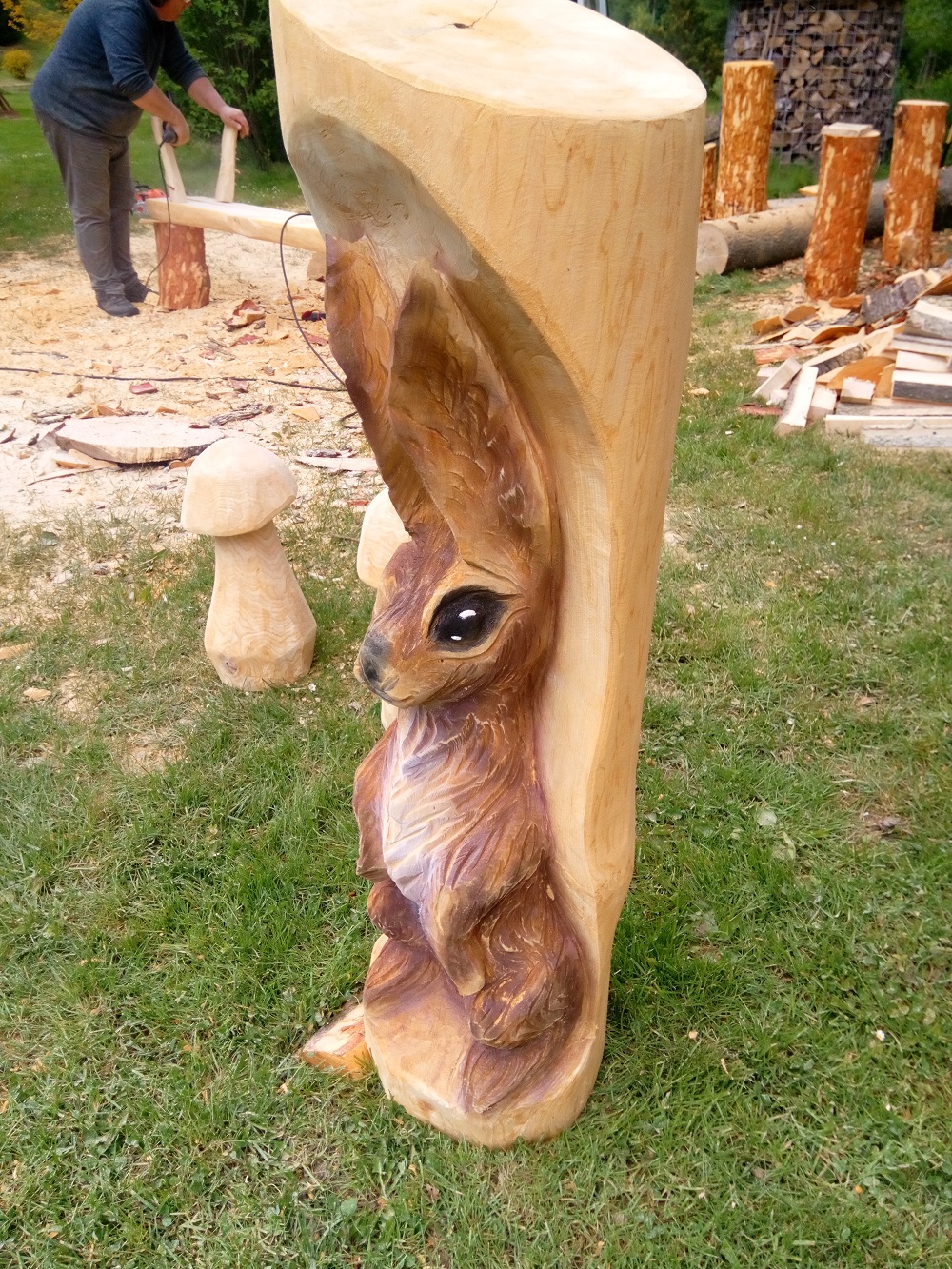 Zvířátka