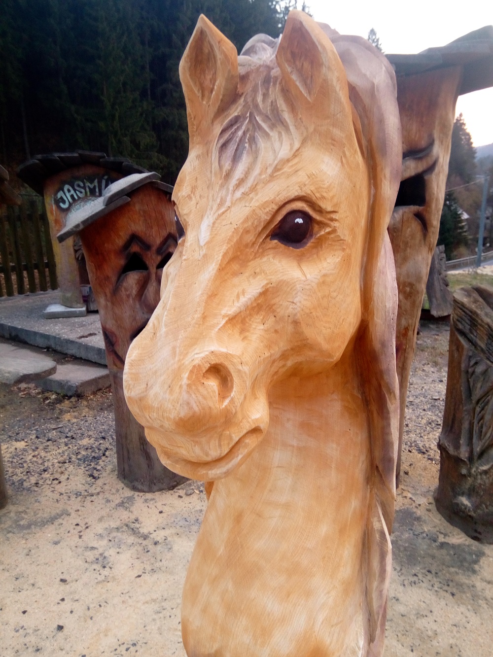 Koně